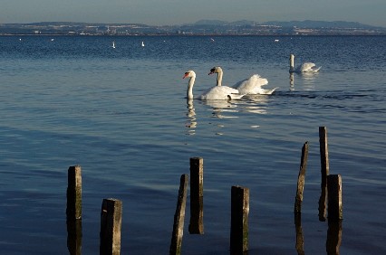 l'etang de berre en danger