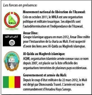 Déjà plus de 100 morts lors de l'intervention de la France au Mali