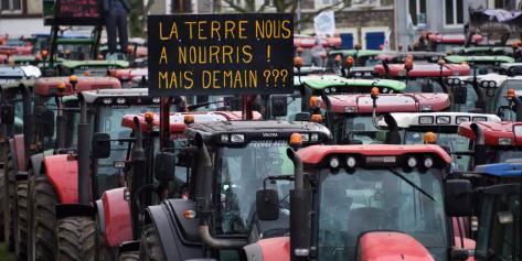 Agriculture : un drame et des questions sur les malheurs d’une profession