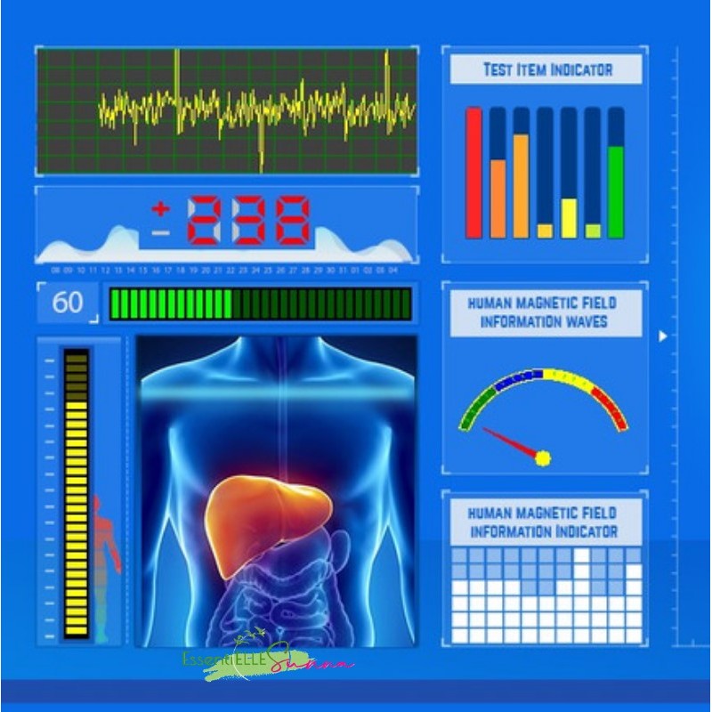 Votre Thérapeute, éducateur de santé, Biorésonance, magnétothérapie pulsée et Bol d'air Jacquier à Vichy, Humains et Animaux, Cusset, Molles, Montagne Bourbonnaise - Tel 07 64 07 36 02