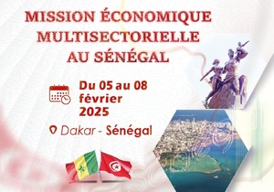 Découvrez Africa CEO Platform : Le Réseau des Décideurs Africains en Tunisie