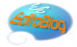  Blog  PROfessionnel d'Entreprise Editoblog