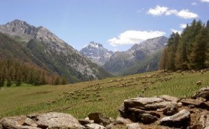 Les Hautes Alpes pour vos vacances d'été