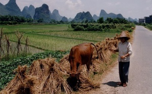 David Cameron en visite en Chine et infos monde