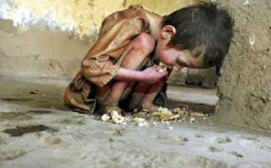 Famine pour sept millions d'Afghans et autres actus monde