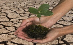 L'environnement à la mode