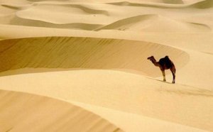 Wade menace le Sénégal