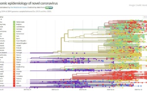 Coronavirus Covid 19: 8 souches dans le monde