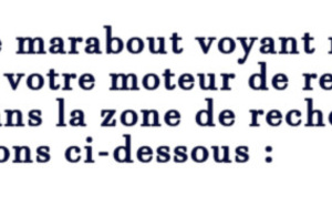 Maître Tavel grand voyant medium marabout Guyane