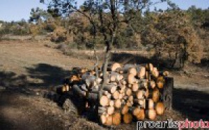 Rognac : Bois de chauffage en BDR et Provence