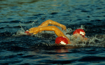 Natation : Les Français à l'assaut du 100 mètres à Budapest.