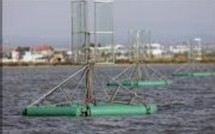 Des hydroliennes pour l'Etang de Berre?