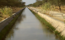 Un homme jette ses enfants dans un canal et tue sa femme