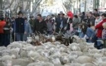 Arles: La provence se rebelle.