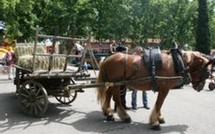 Istres et Entressen: un été convivial d'arts et cultures