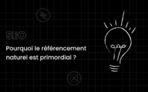 Référencement naturel versus Référencement payant - Mettez votre activité en 1ère page RAPIDEMENT : SOLUTION