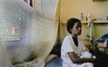 Des chirurgiens de Tanzanie s’emmêlent les scalpels et se trompent de patients