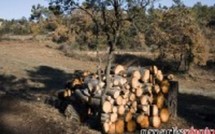 Rognac : Bois de chauffage en BDR et Provence