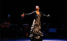 Séville: les 'jeudis flamencos' du centre culturel Cajasol