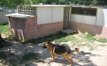 Pension canine en Provence BDR