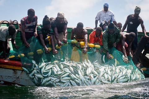 SENEGAL-PECHE-ORGANISATION