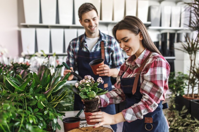 Conseils pour choisir un engrais organique ?